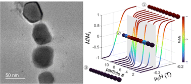 Graphical abstract: Magnetization reversals in magnetosome linear-chain assemblies extracted from magnetotactic bacteria: an experimental and micromagnetic simulation study