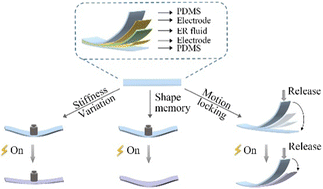 Graphical abstract: Variable stiffness and fast-response soft structures based on electrorheological fluids