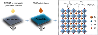 Graphical abstract: Enhanced efficiency and stability of blue perovskite light-emitting diodes through dual defect passivation