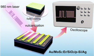Graphical abstract: Synthesis of continuous MoS2:Er films and their enhanced NIR photoresponse for photo communication