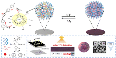 Graphical abstract: A novel ZnO/viologen photochromic composite film with a rapid UV response for rewritable paper, solar UV detection, smart windows and anti-counterfeiting