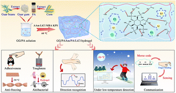Graphical abstract: Superior low-temperature tolerant, self-adhesive and antibacterial hydrogels for wearable sensors and communication devices