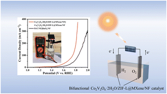 Graphical abstract: CoV2O6 coupled with MXenes as a highly efficient electrocatalyst for water splitting