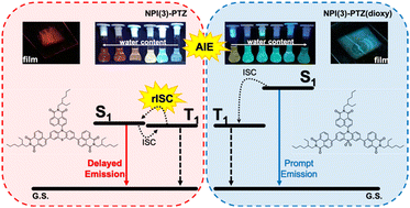 Graphical abstract: Enabling red thermally activated delayed fluorescence by increasing the push–pull strength in naphthalimide-phenothiazine derivatives