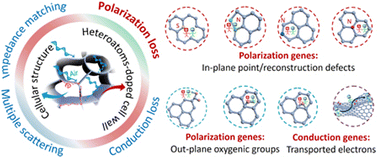 Graphical abstract: Polarization genes dominated heteroatom-doped graphene aerogels toward super-efficiency microwave absorption