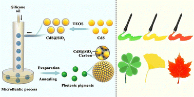 Graphical abstract: Beyond cadmium yellow: CdS photonic crystal pigments with vivid structural colors