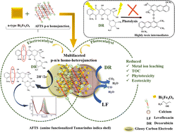 Graphical abstract: A green catalyst and sensor: band engineering of Bi2Fe4O9-based S-scheme p–n/n homo-heterojunction for detection and degradation of cytotoxic drug