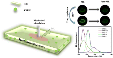 Graphical abstract: Trap-regulated highly efficient mechanoluminescence and persistent mechanoluminescence of Ca2MgSi2O7:Eu2+