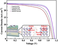 Graphical abstract: Ion migration inhibition and defect passivation via sulfonate salt coordination for high-performance perovskite solar cells with enhanced phase stability