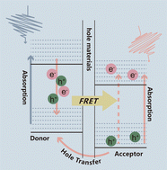 Graphical abstract: Probing fluorescence resonance energy transfer and hole transfer in organic solar cells using a tandem structure