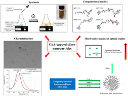 Graphical abstract: Investigation of enhanced third-order optical nonlinearity in novel coenzyme A capped silver nanoparticles