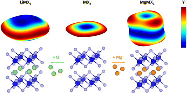 Graphical abstract: Intercalation-dependent elastic properties of transition metal dichalcogenides