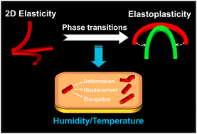 Graphical abstract: Integrating 2D elasticity and elastoplasticity into a multi-stimuli-responsive crystal through phase transitions
