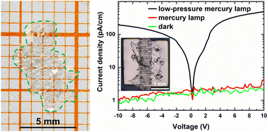 Graphical abstract: Rapid growth of a 24 mm2 scale hexagonal boron nitride crystal in Ni–Cr solution