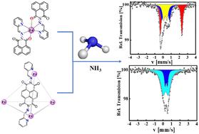 Graphical abstract: From a mononuclear FeIIL2 complex to a spin crossover FeII4L6 cage by symmetric ligand architecture modification: insights into the ammonia gas sensing mechanism