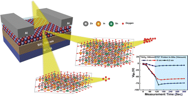 Graphical abstract: Effect of channel thickness on radiation hardness of solution-processed oxide thin film transistors