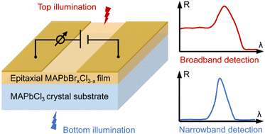 Graphical abstract: Epitaxy growth of MAPbBrxCl3−x single-crystalline perovskite films toward spectral selective detection in both broadband and narrowband ranges