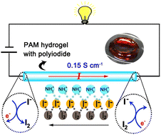 Graphical abstract: Facile fabrication of a highly-conductive hydrogel through filling with polyiodide