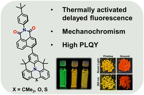 Graphical abstract: Thermally activated delayed fluorescence and mechanochromism in napthalimide-azatriangulenes