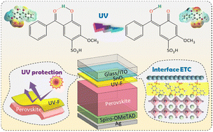 Graphical abstract: Building a UV filter and interfacial bridge with a multifunctional molecule for enhancing the performance and stability of MAPbI3 solar cells
