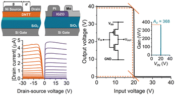 Graphical abstract: High gain complementary inverters based on comparably-sized IGZO and DNTT source-gated transistors