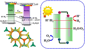 Graphical abstract: First principles calculations of the electronic configuration and photocatalytic performance of GaSe(Ga2SSe)/MoS2(MoSSe) heterojunctions