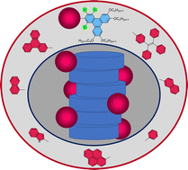 Graphical abstract: 2-Aryl-1,3,4-trifluoro-6,7,10,11-tetrakis(alkoxy)triphenylene: a remarkable and highly inclusive mesomorphic platform