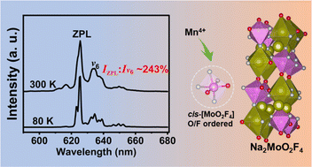 Graphical abstract: A Na2MoO2F4:Mn4+ phosphor with red luminescence peaking at 625 nm and a ZPL/v6 intensity ratio of 243%