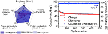 Graphical abstract: A freezing-tolerant superior proton conductive hydrogel comprised of sulfonated poly(ether–ether–ketone) and poly(vinyl-alcohol) as a quasi-solid-state electrolyte in a proton battery