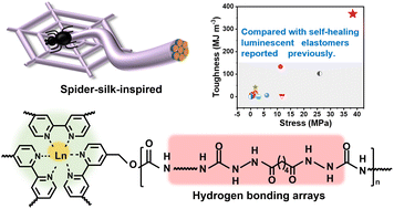 Graphical abstract: A super-tough and self-healing biomimetic luminescent elastomer enabled by hydrogen bonding arrays and lanthanide-bipyridine moieties