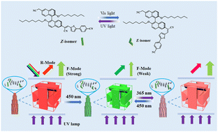 Graphical abstract: Simultaneous optical tuning of reflection and fluorescence in a self-organized simple 3D cubic structure by α-cyanodiarylethene-based chiral fluorescence photoswitches