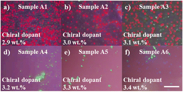 Graphical abstract: Spontaneous formation of liquid-crystalline nuclei in blue-phase liquid crystals based on different chirality