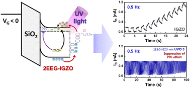 Graphical abstract: A chemically treated IGZO-based highly visible-blind UV phototransistor with suppression of the persistent photoconductivity effect