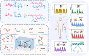 Graphical abstract: A highly stretchable and sensitive carboxymethyl chitosan-based hydrogel for flexible strain sensors