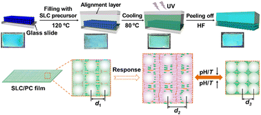 Graphical abstract: A supramolecular liquid crystal/photonic crystal composite film with broad diffraction-wavelength shifts/fast responses to pH changes
