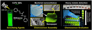 Graphical abstract: Bacterial nanocellulose and CdTe quantum dots: assembled nanopaper for heavy metal detection in aqueous solution