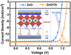 Graphical abstract: Crosslinked thioctic acid as a multifunctional buried interface modifier for high-performance inorganic perovskite solar cells