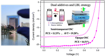 Graphical abstract: Distribution of dual additives enables efficient semi-transparent layer-by-layer architecture of organic solar cells