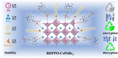 Graphical abstract: Dual functional phosphate-ester BODIPY regulation achieved stable CsPbBr3 nanocrystals for optical anti-counterfeiting