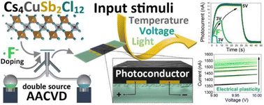 Graphical abstract: All-green Cs4CuSb2Cl12 perovskite films deposited in situ by AACVD and their doping with F− ions for photodetectors and memdiodes