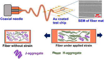 Graphical abstract: Highly stretchable coaxial P3HT electrospun fibers with enhanced reversibility