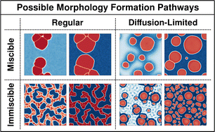 Graphical abstract: Crystalline morphology formation in phase-field simulations of binary mixtures