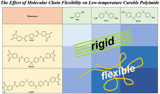 Graphical abstract: A comprehensive study on the effect of molecular chain flexibility on the low-temperature curing ability of polyimides