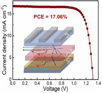 Graphical abstract: A multiple-coordination framework for CsPbI2Br perovskite solar cells