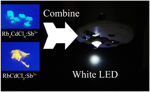 Graphical abstract: Metal halides RbCdCl3:Sb3+ and Rb4CdCl6:Sb3+ with yellow and cyan emissions obtained via a facile hydrothermal process