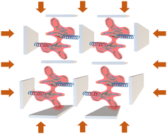 Graphical abstract: A rigid-flexible steric blocking strategy for highly bright and ultrawide piezochromism in the deep-red/near-infrared region
