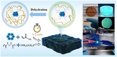 Graphical abstract: Ultrafast fabrication of lignin carbon dot hydrogels with self-mending properties and dehydration-visualizable phosphorescence for chemical sensing and information encryption