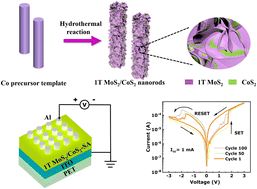 Graphical abstract: 1T MoS2/CoS2 heterostructures enabling enhanced resistive switching behavior in sodium alginate-based flexible memristors
