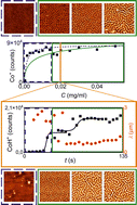 Graphical abstract: Means of control over poly(4-vinylpyridine)–CoBr2 complex functional thin film formation in static and dynamic conditions