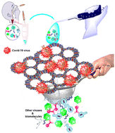 Graphical abstract: Development of pseudo 3D covalent organic framework nanosheets for sensitive and selective biomolecule detection of infectious disease